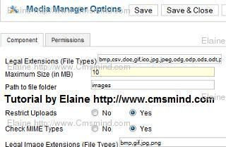 eror_media_manager How to modify the max image upload size